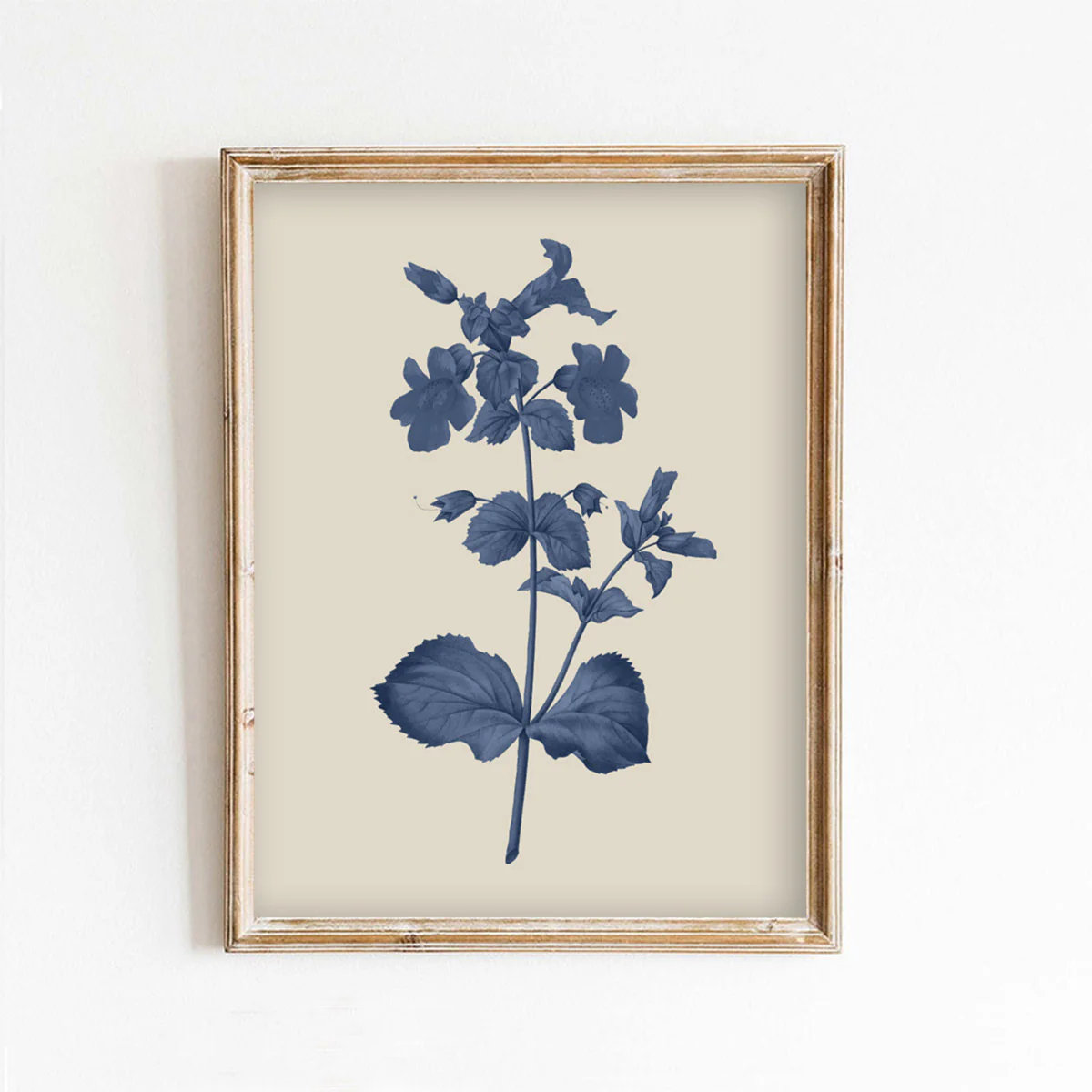 Blue Tuberous begonias Flower Art Print
