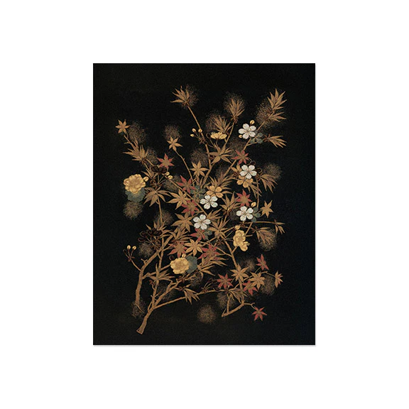 Autumn Japanese Maple Leaves on Black Background Art Print - Image 3