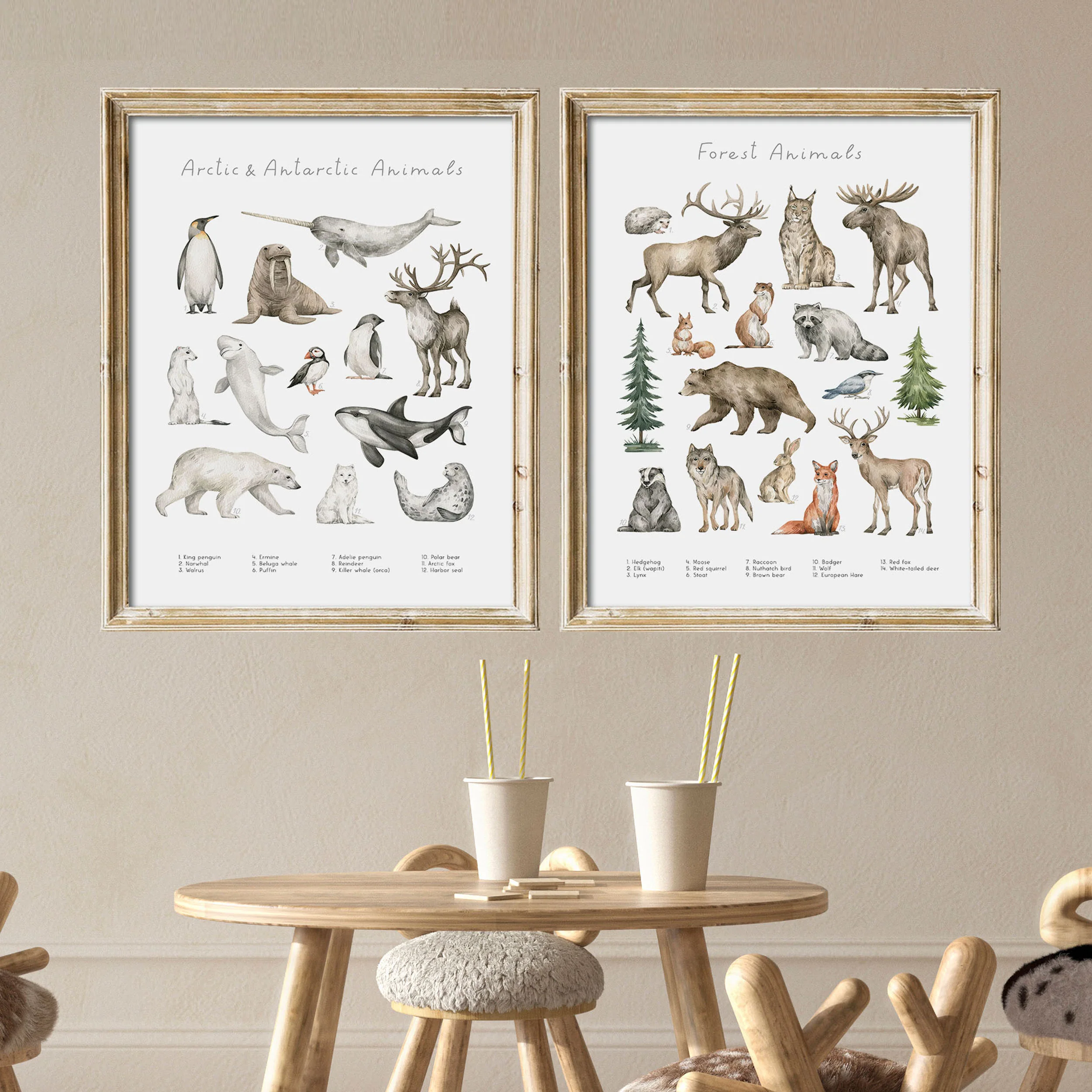 Kids Animal Charts Set of 2 Art Prints