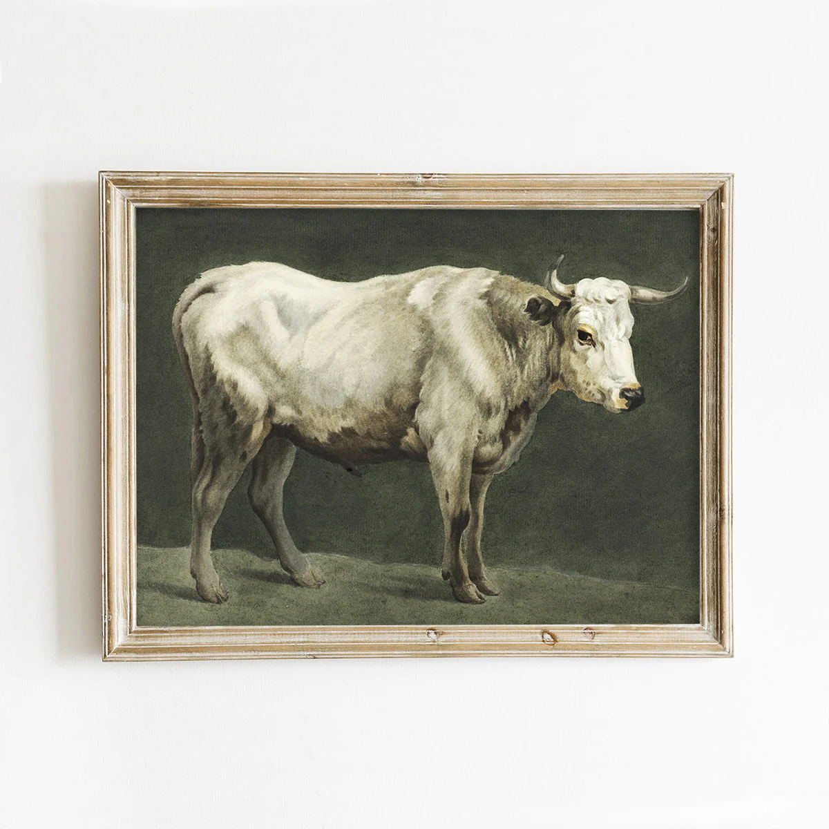 Standing Cow Vintage Art Print