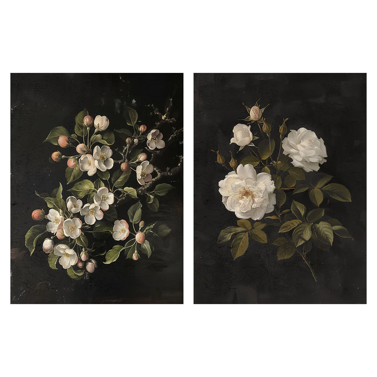 Vintage Flowers With Dark Background Art Prints Set of 2