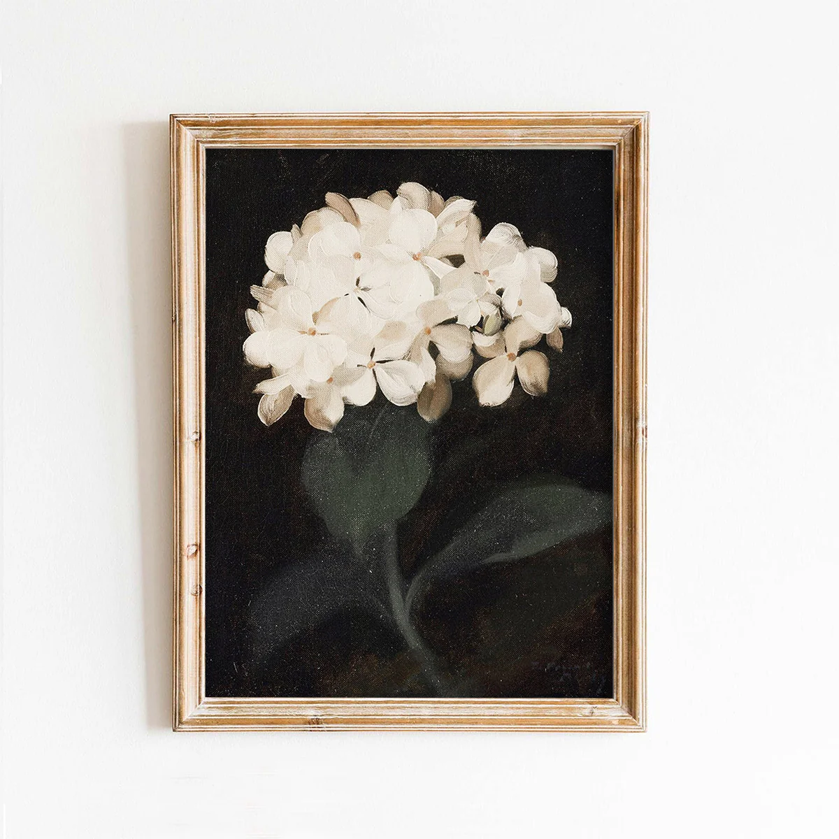 White Hydrangea Vintage Art Print