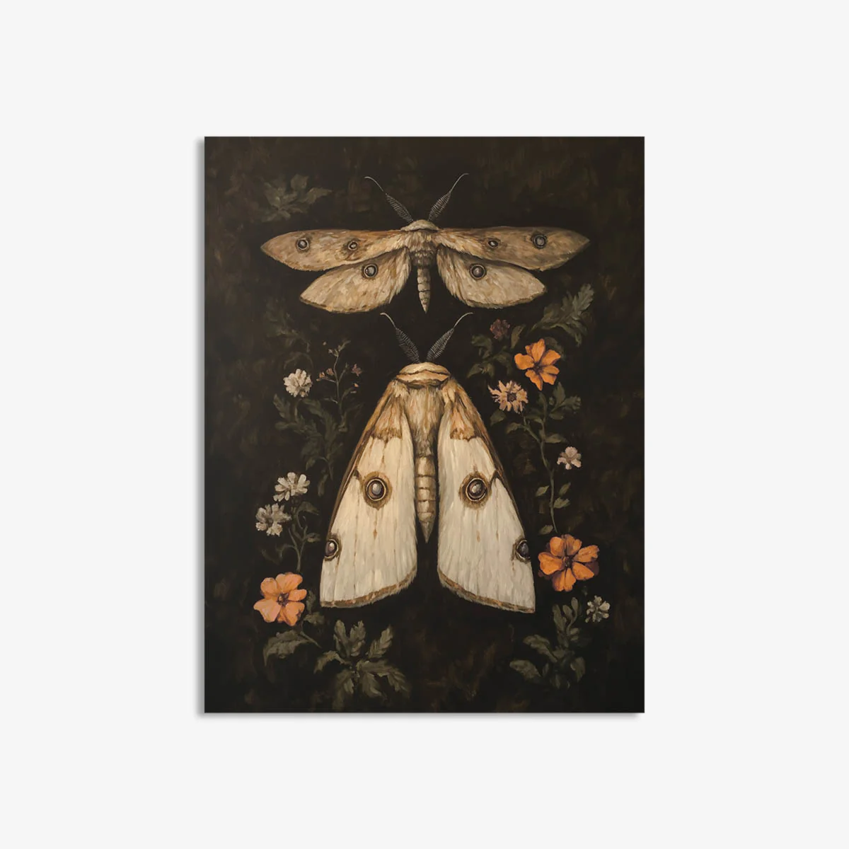Moth & Dragonfly Art Print - Image 3