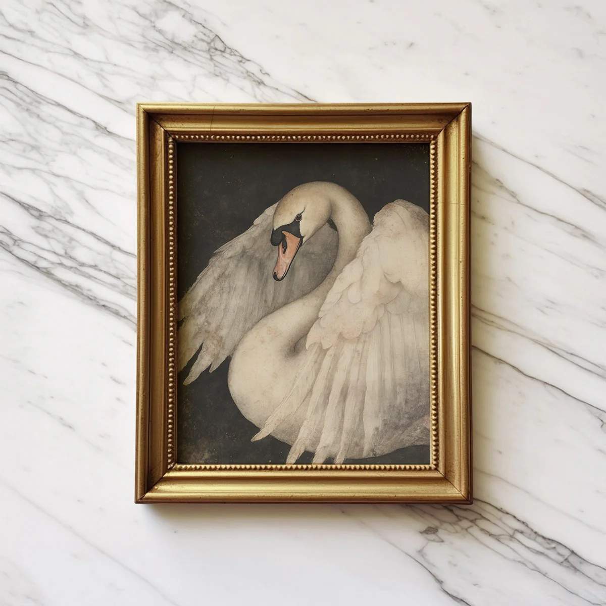 Polish Swan Art Print