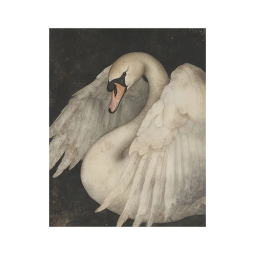 Polish Swan Art Print - Image 2