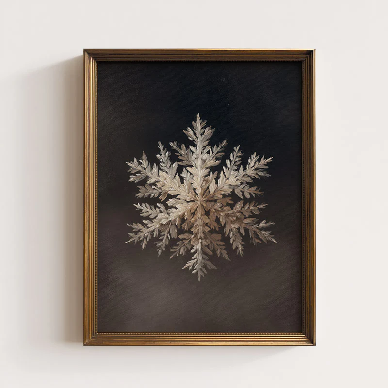 Snowflake On Black Art Print