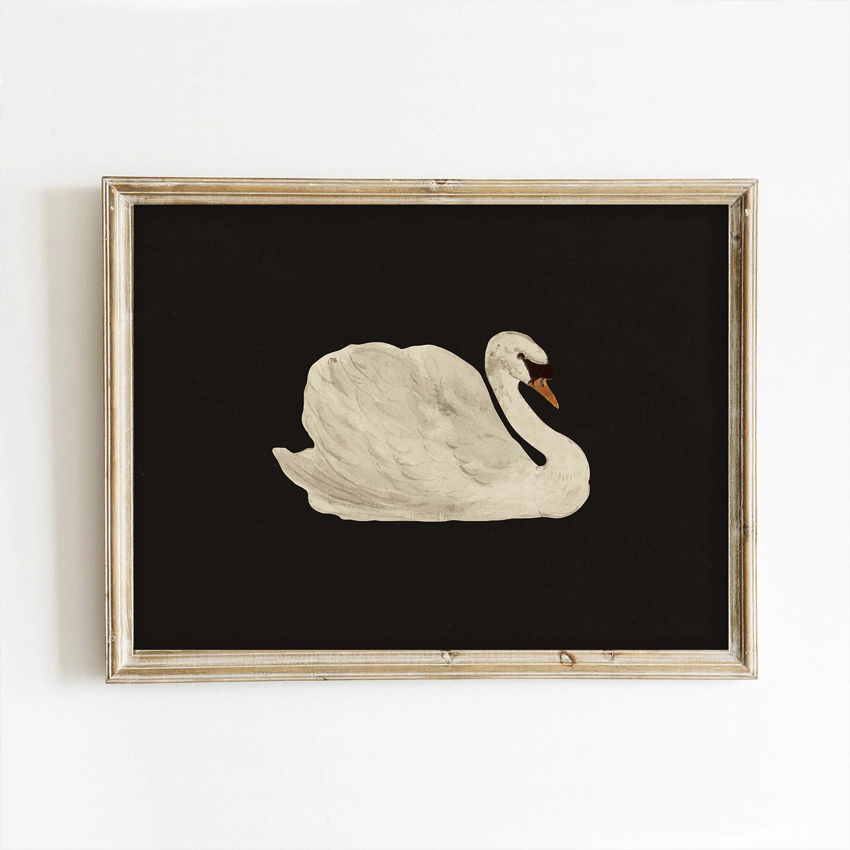 Swan on Black Art Print - Image 4