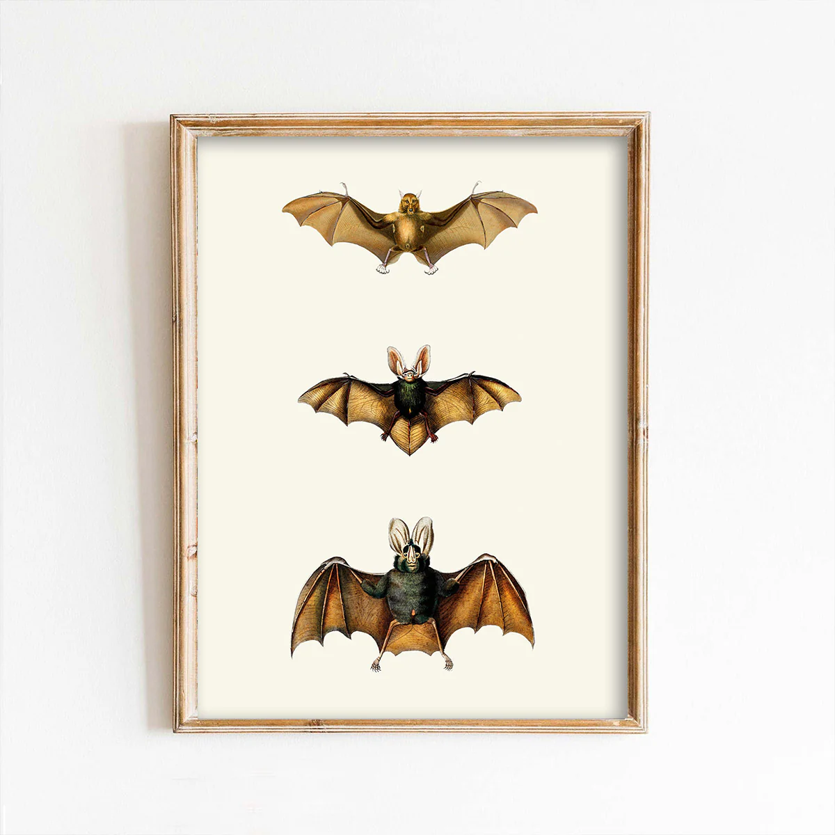 Three Bats on Beige Art Print