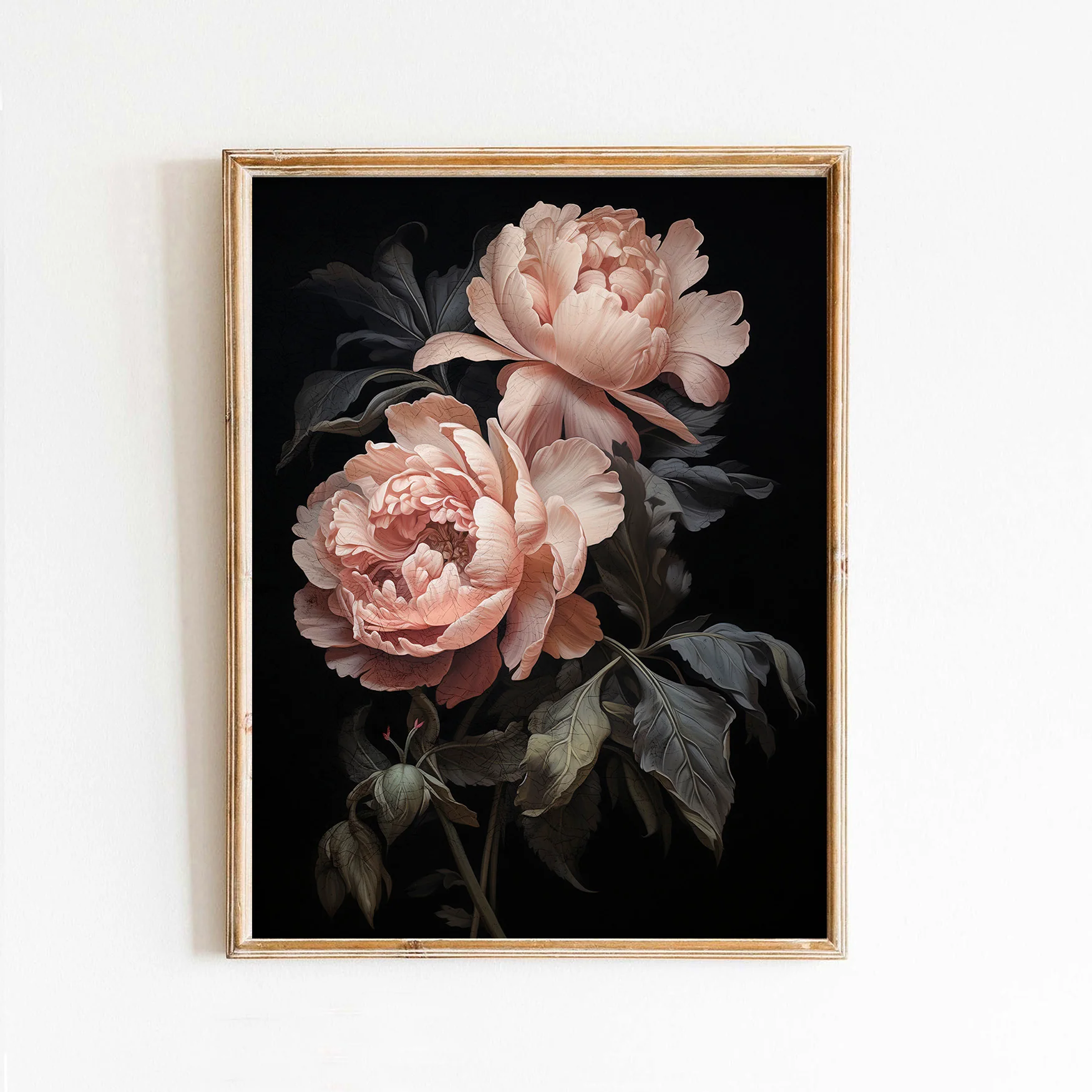 Two Pink Peonies on Black Valentine's Day Art Print