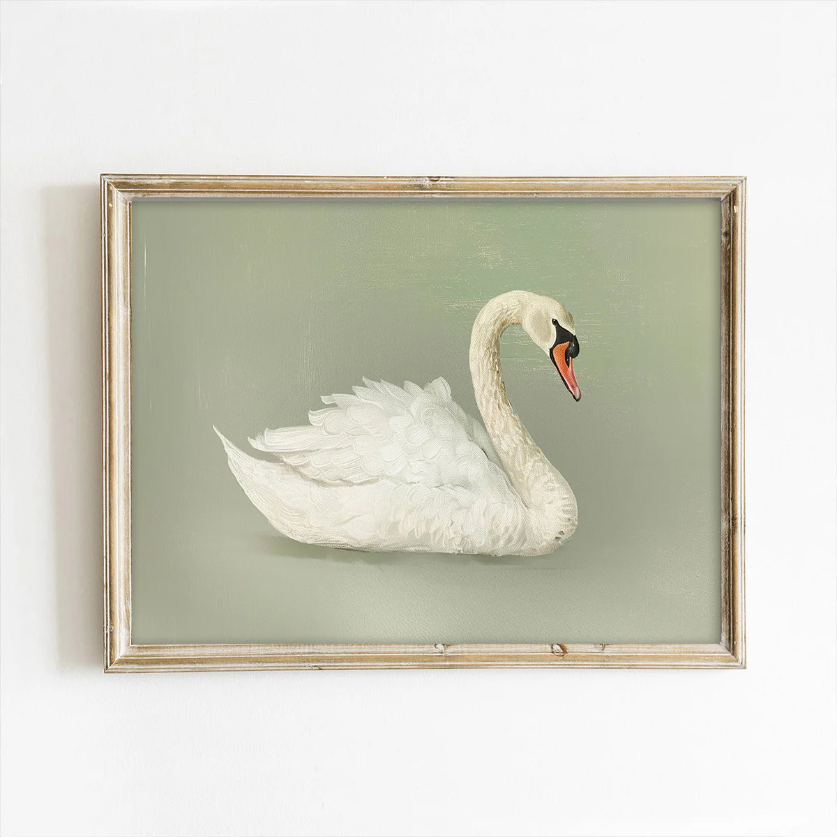 Green Background Swan Art Print
